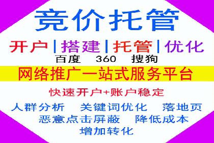 大数据分析在竞价广告中的应用
